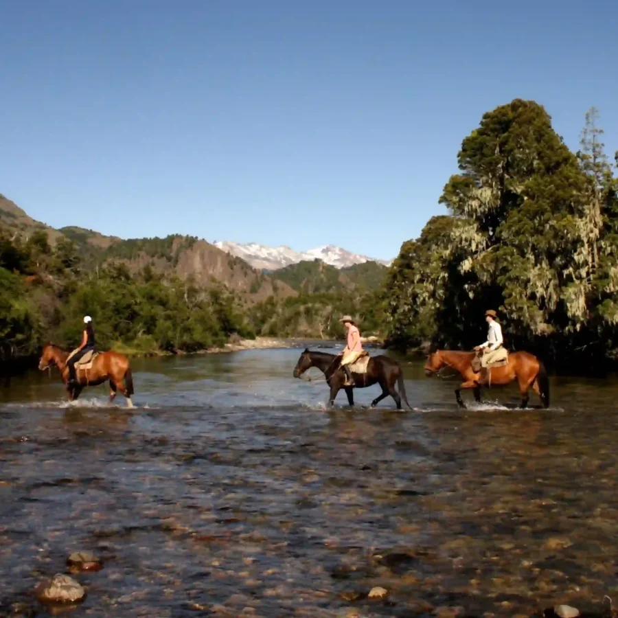 Patagonia, Argentina 08