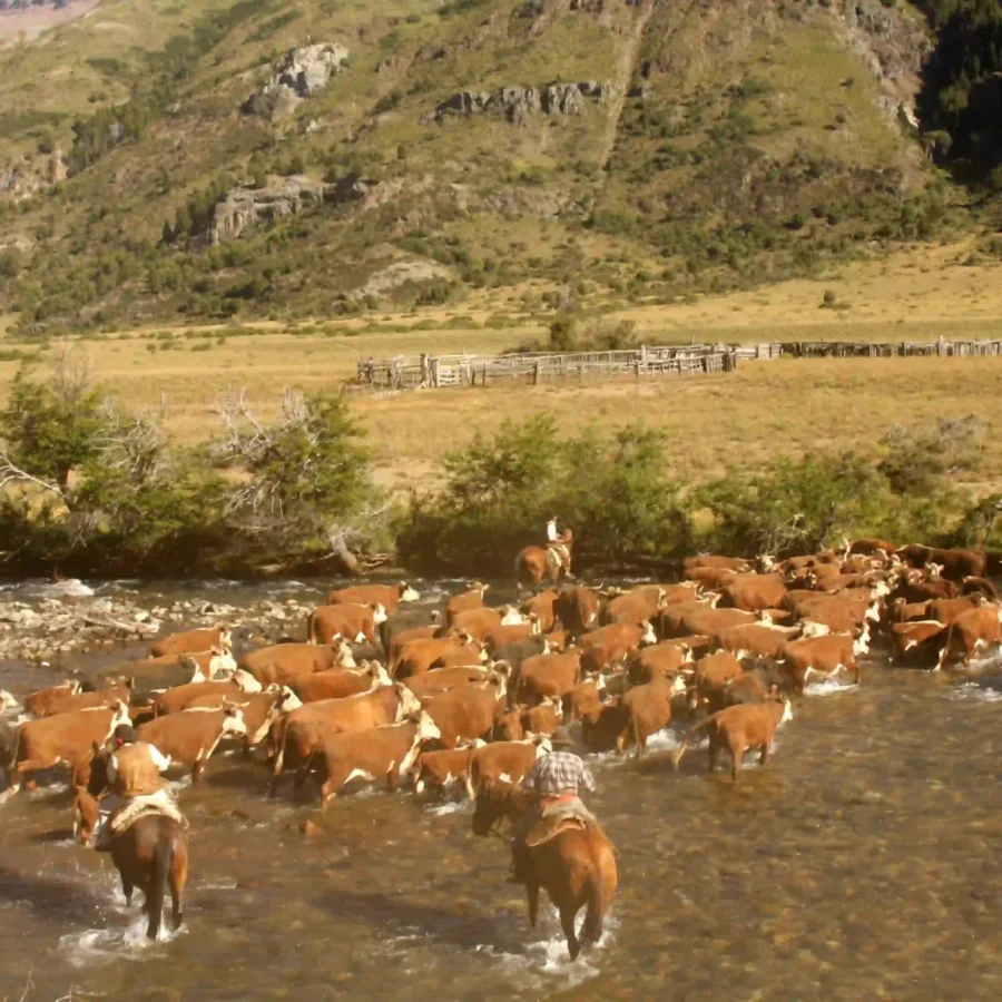 Patagonia, Argentina 12